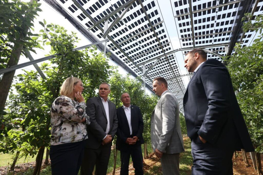 agri-pv-pilot-project-in-slovenia-brite-solar-panels-above-apple-orchard.jpeg