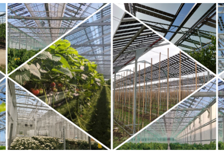 Banner showcasing selected agricultural installations of Brite Solar’s semi-transparent photovoltaic panels in greenhouses and open-field crops.